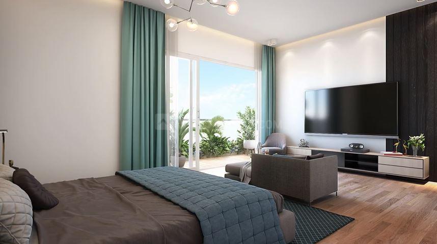 Prateek Canary - Image 5