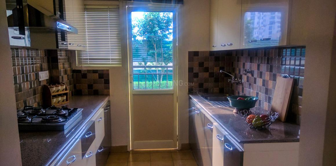 Stellar One Phase III - Image 5