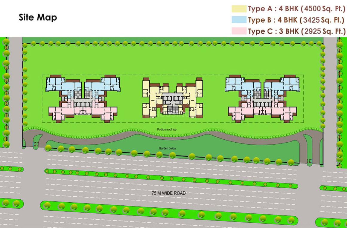 Saha Amadeus - Image 16