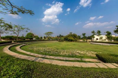 Residential Plot