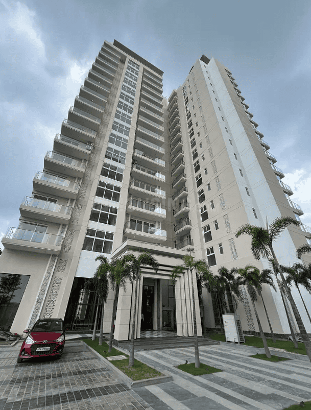 ACE Ace Starlit - Image 29