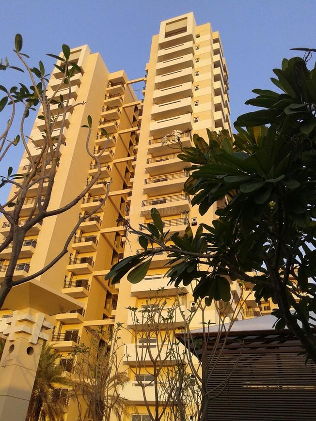 Exotica Fresco - Image 2