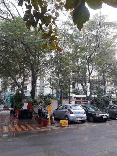 Stellar Kings Court - Image 5