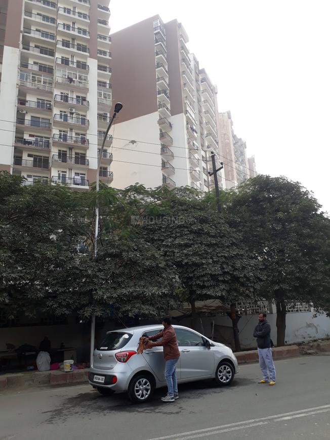 Maxblis Glory - Image 2