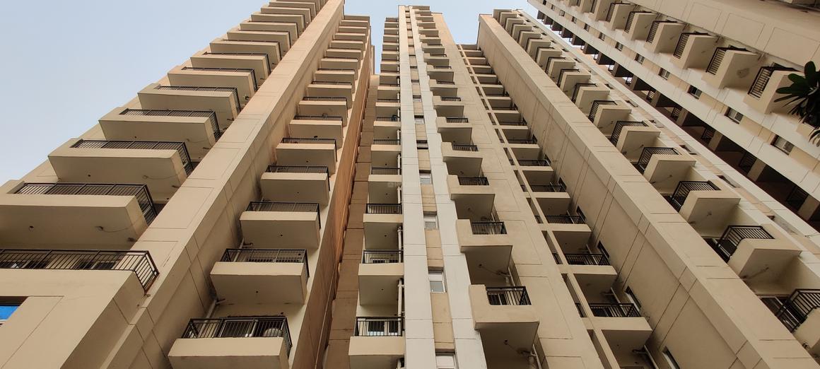 Oasis Grandstand - Image 2