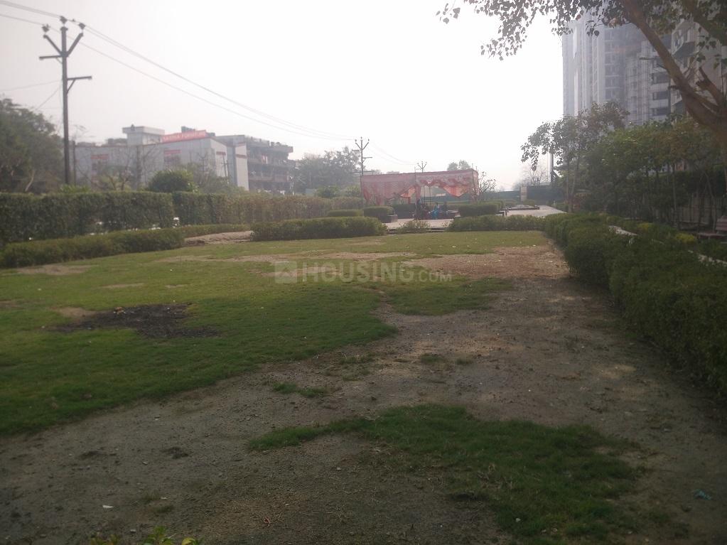 Express Green - Image 4