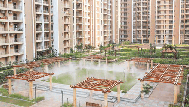 ABA Cleo Gold - Image 7