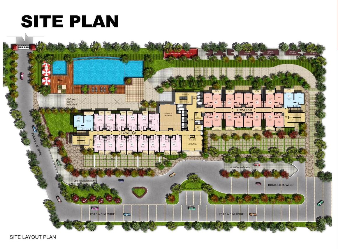 Beetle Orchid - Image 27