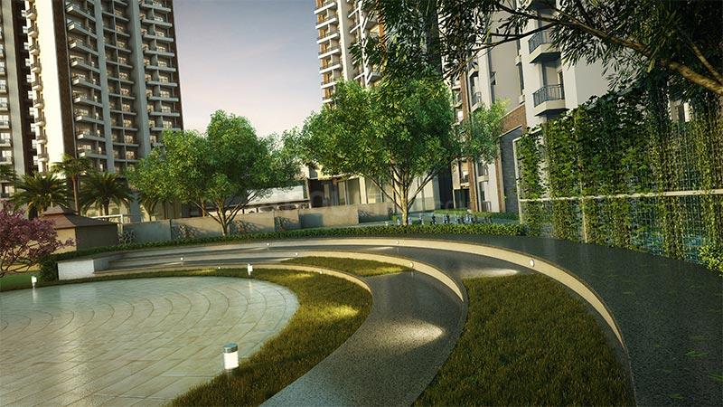 ACE Divino - Image 23