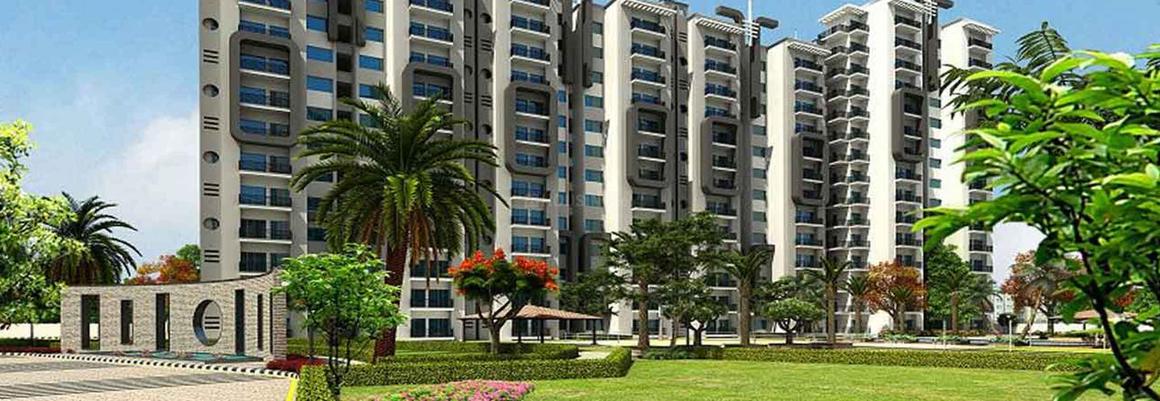 AFOWO Raksha Addela - Image 2