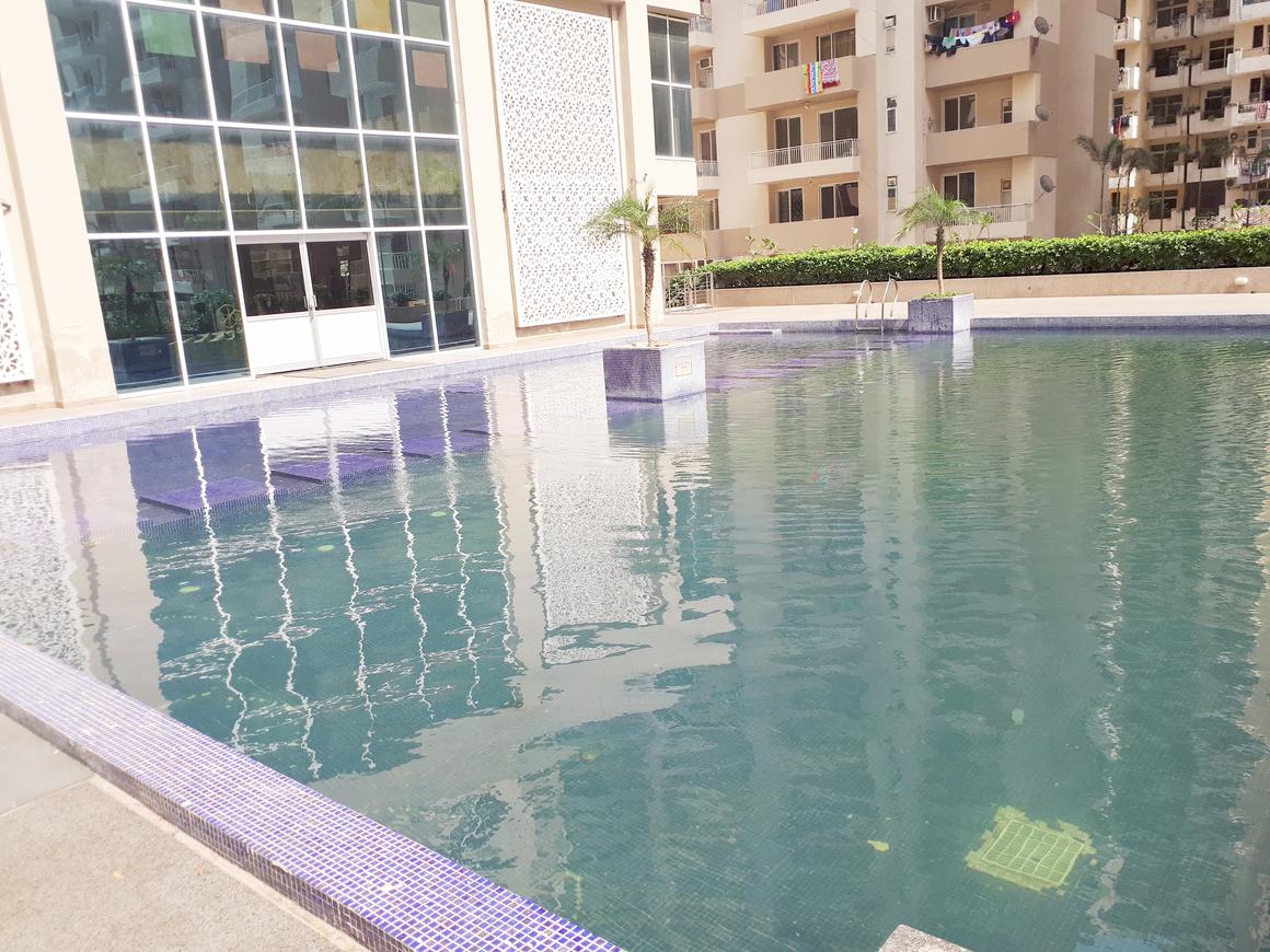 ACE Group Platinum Zeta 1 - Image 30