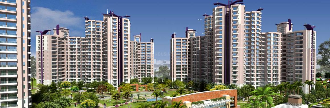 Prateek Wisteria - Image 2