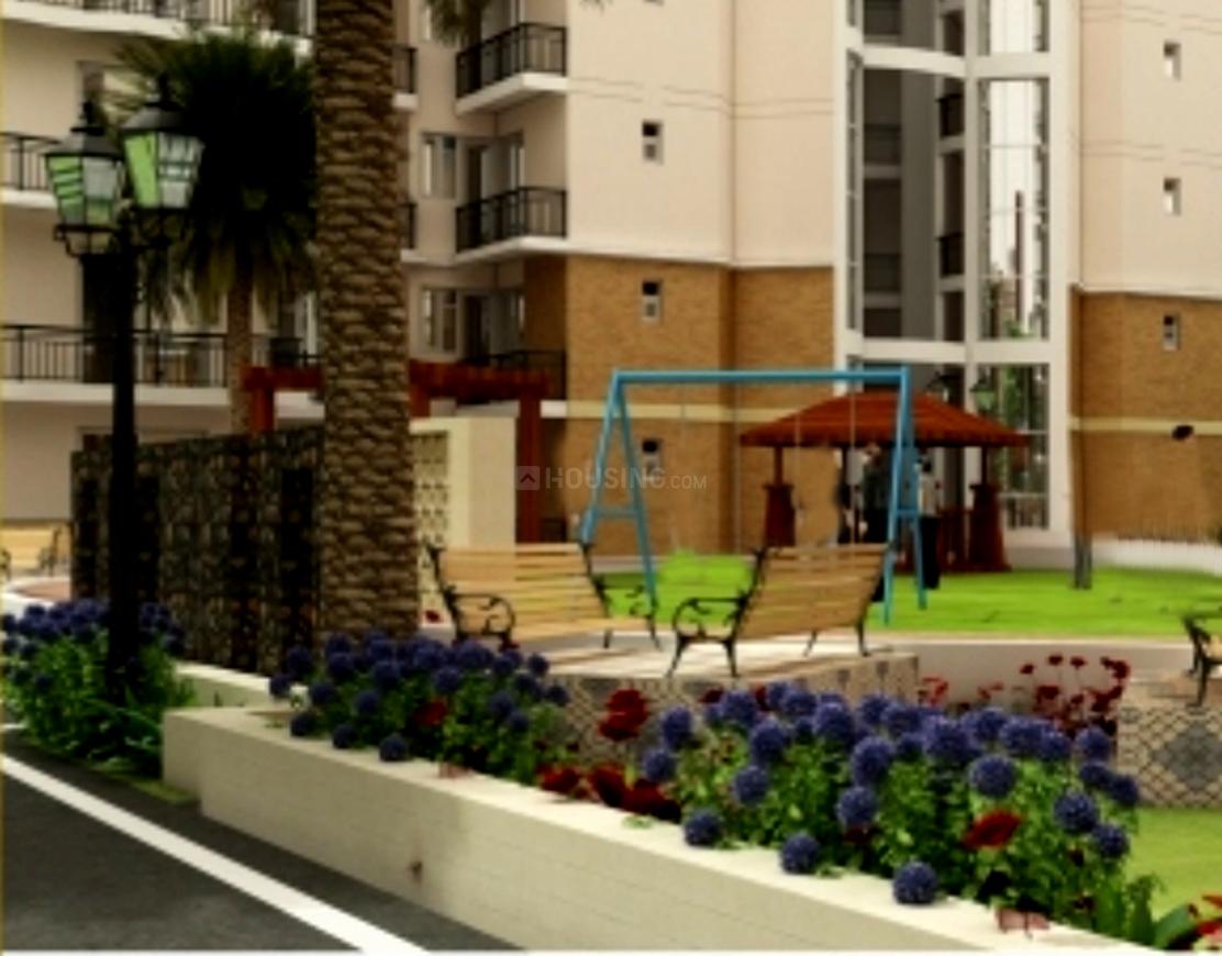 BLGC Superb - Image 5