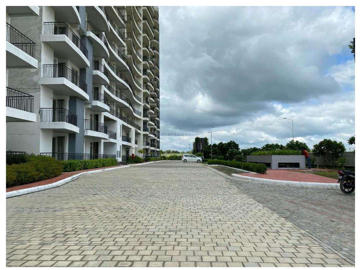 Home And Soul Beetle Lap - Image 4