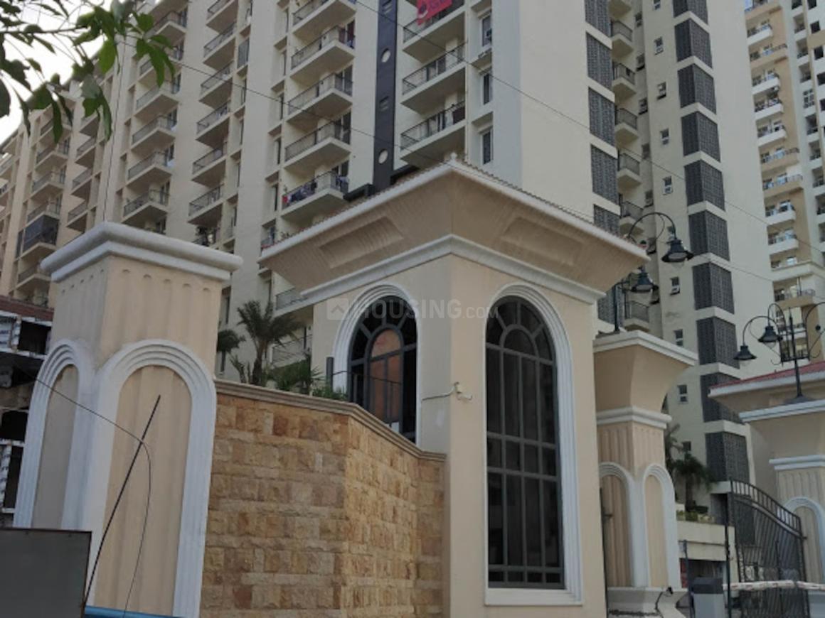 AFOWO Raksha Addela - Image 3