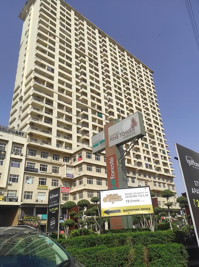 Paramount Pine And Oak Studio - Image 2