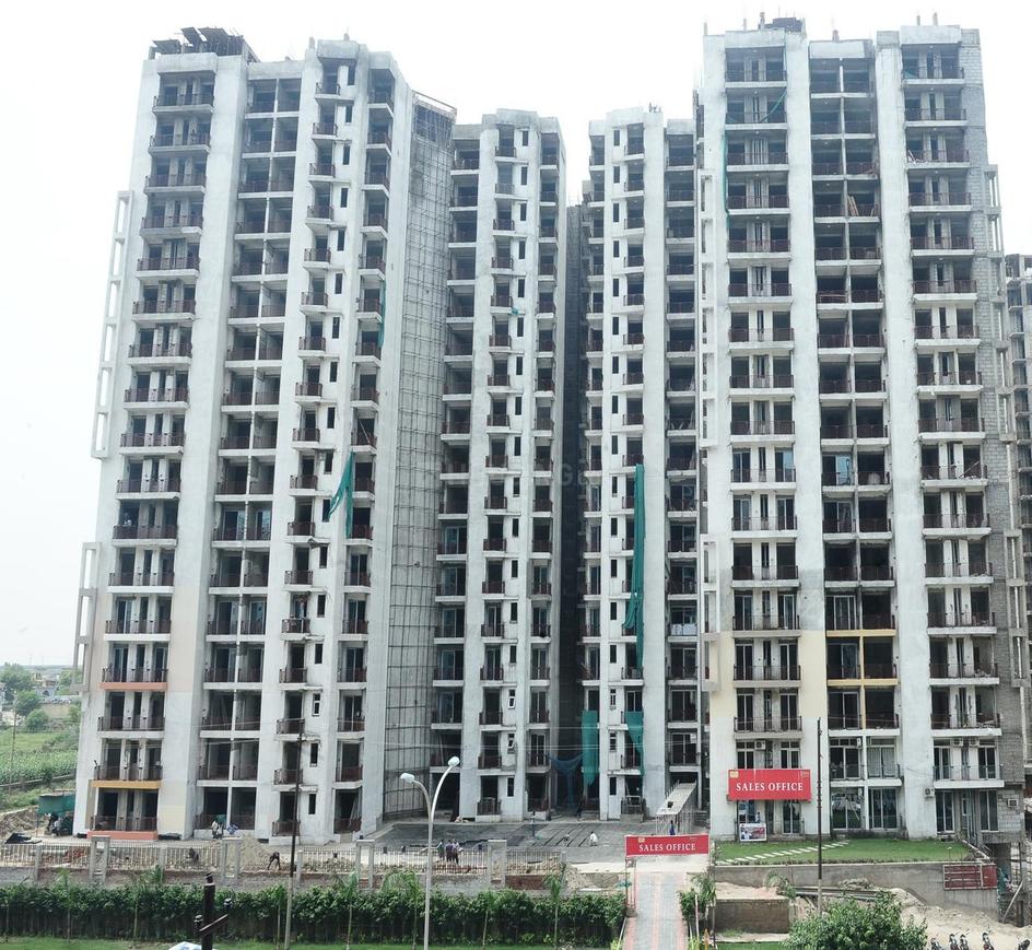 Sikka Karnam Greens - Image 2