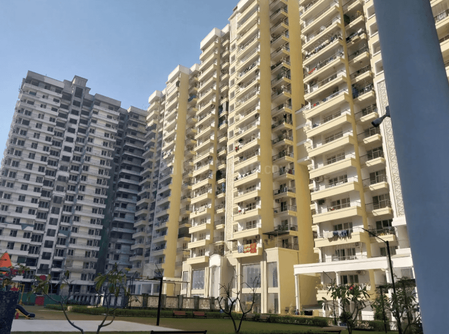 AIG Aigin Royal - Image 2