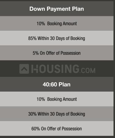 ABA Cleo Gold - Image 18