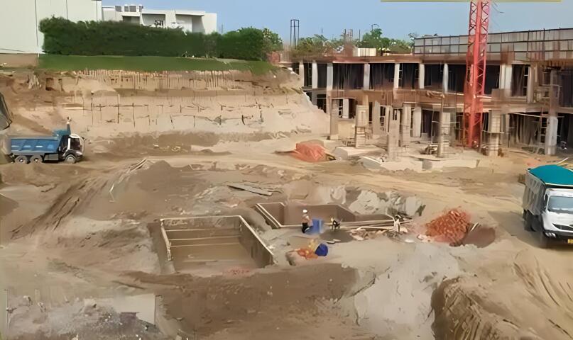 Ivory County Gold - Image 22