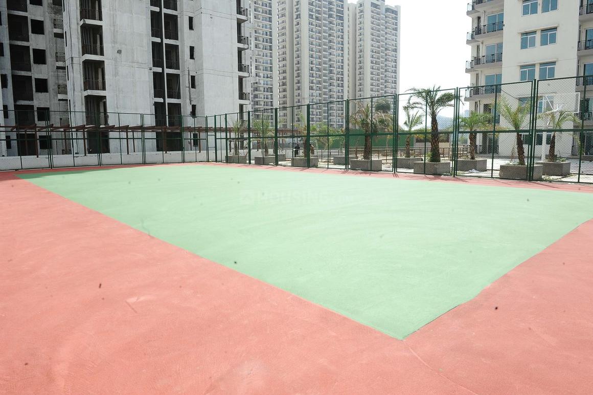 Sikka Karnam Greens - Image 29