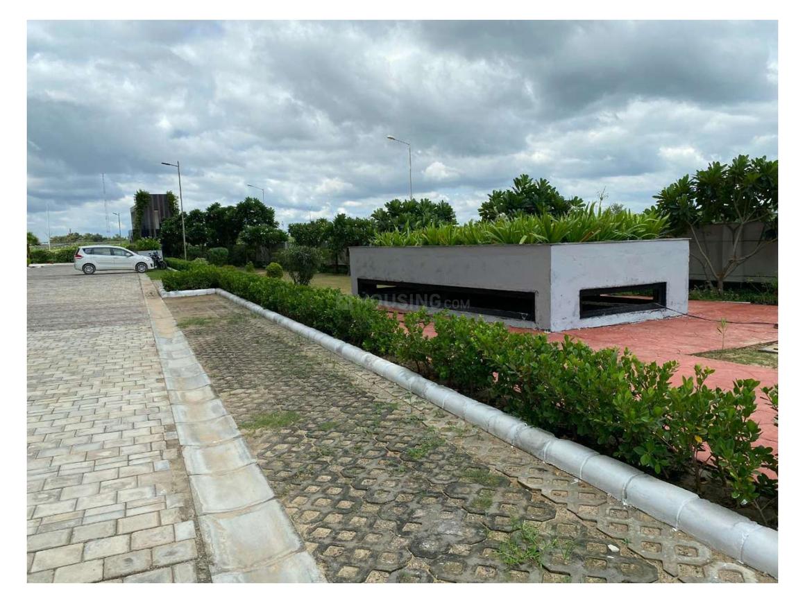 Home And Soul Beetle Lap - Image 5