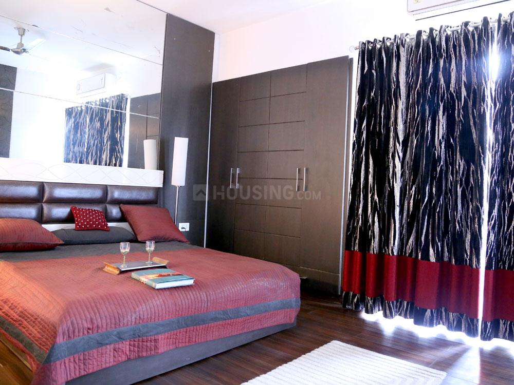 Exotica Fresco - Image 26