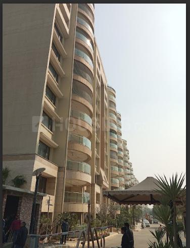 Ambience Caitriona - Image 2