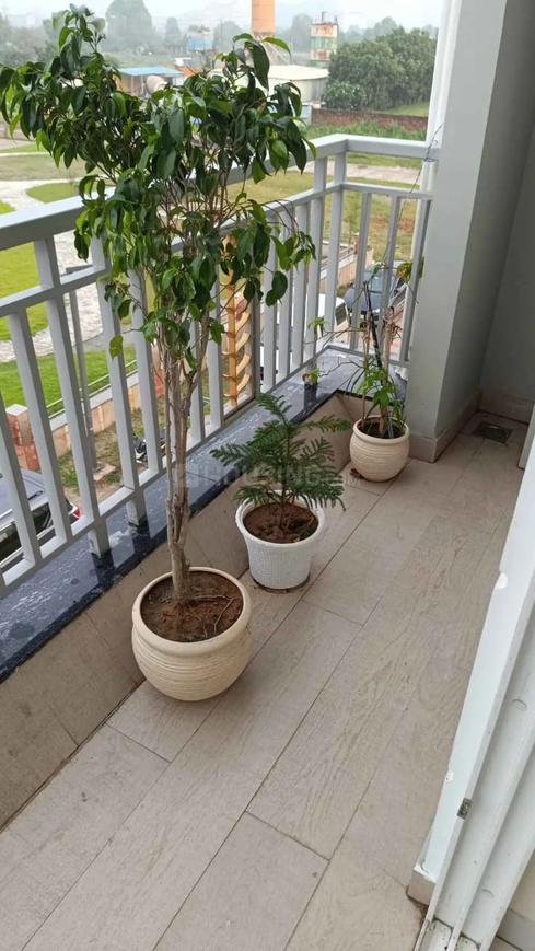 The Rising Palm Floors - Image 15