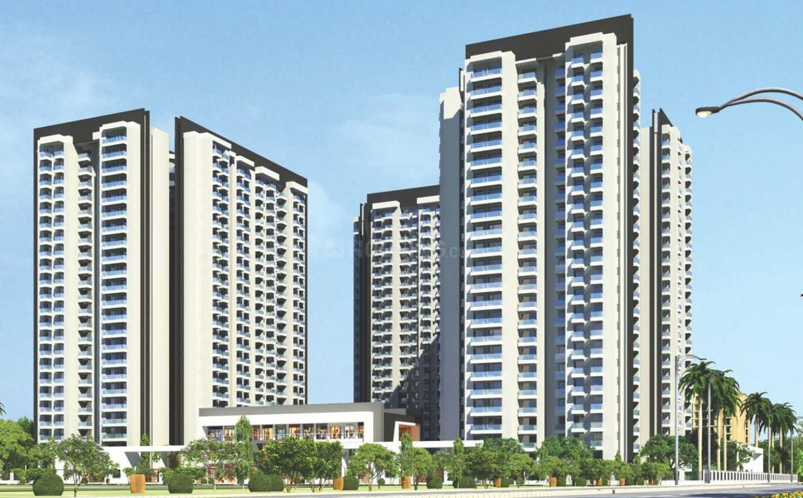 Sikka Kirat Greens - Image 2