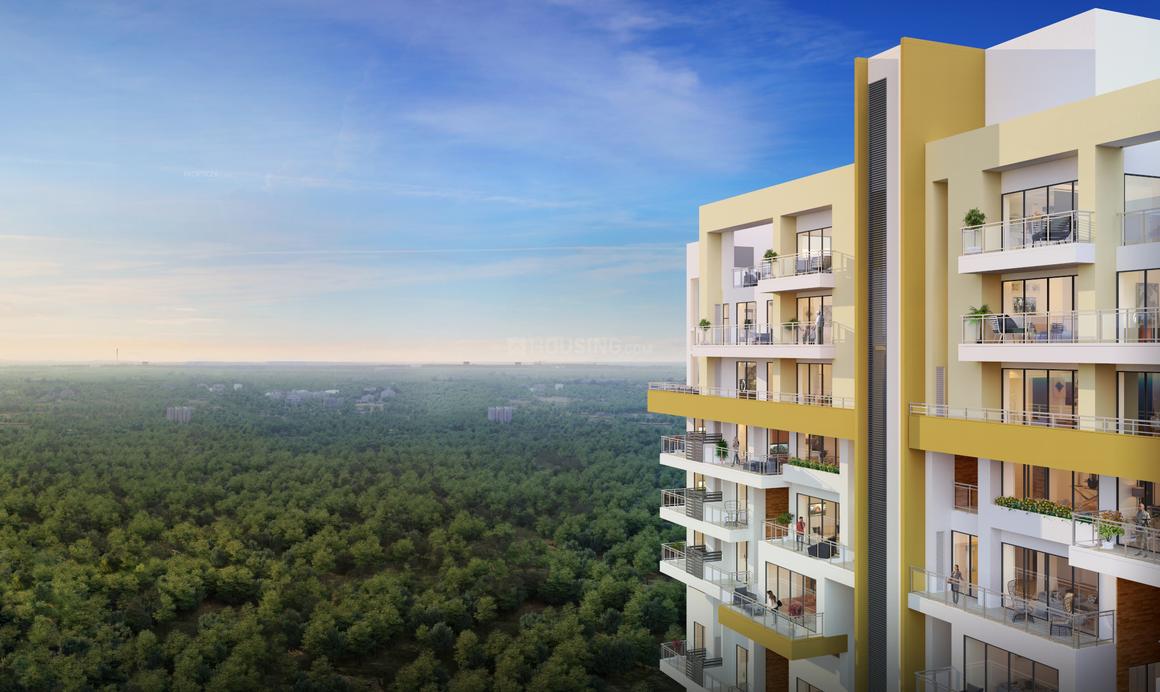 Risland Sky Mansion - Image 2