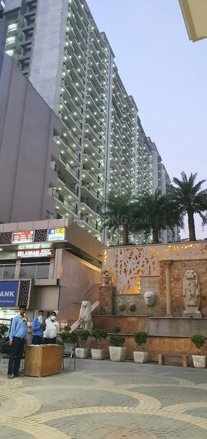 AFOWO Raksha Addela - Image 6