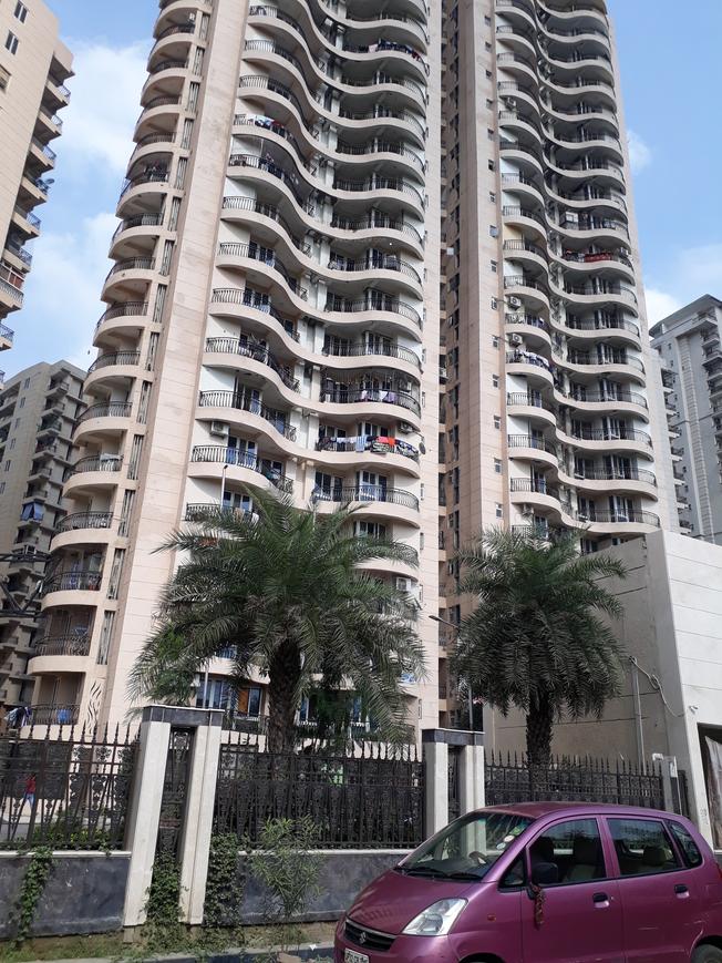 Sikka Karmic Greens - Image 3