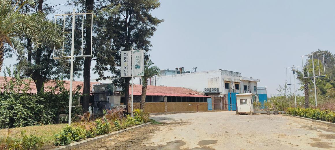 Pyramid Palm County - Image 12