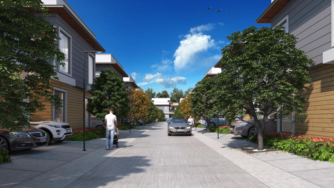 Assotech Canopy - Image 2