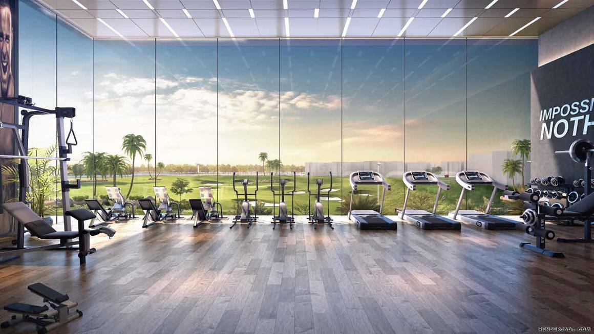 Prateek Canary - Image 12