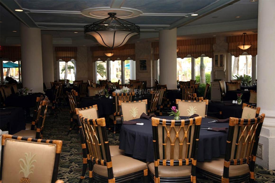 BLGC Superb - Image 6