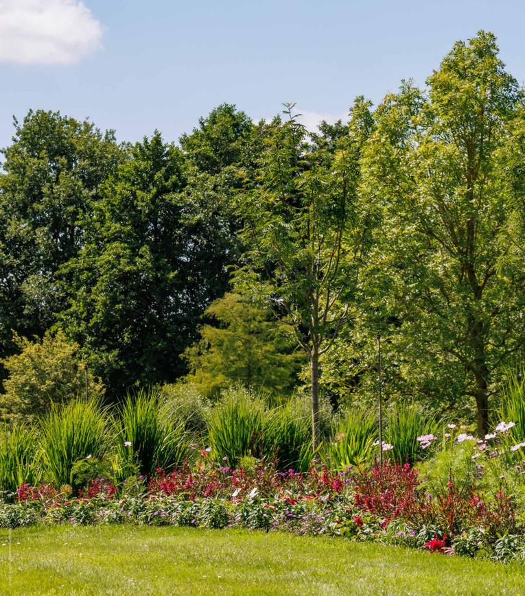 Experion Saatori - Image 9