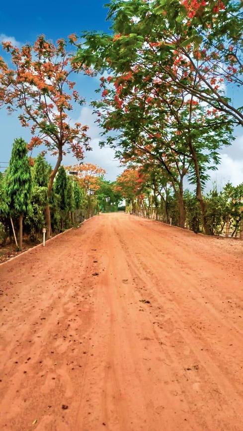 Veda Farm - Image 10