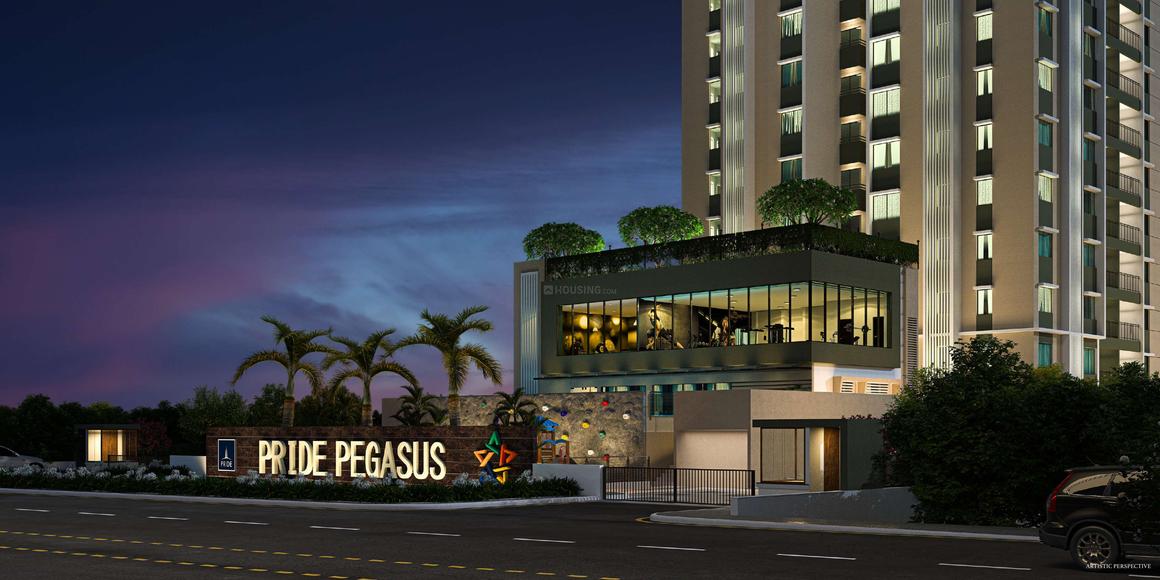 Pride Pegasus - Image 2