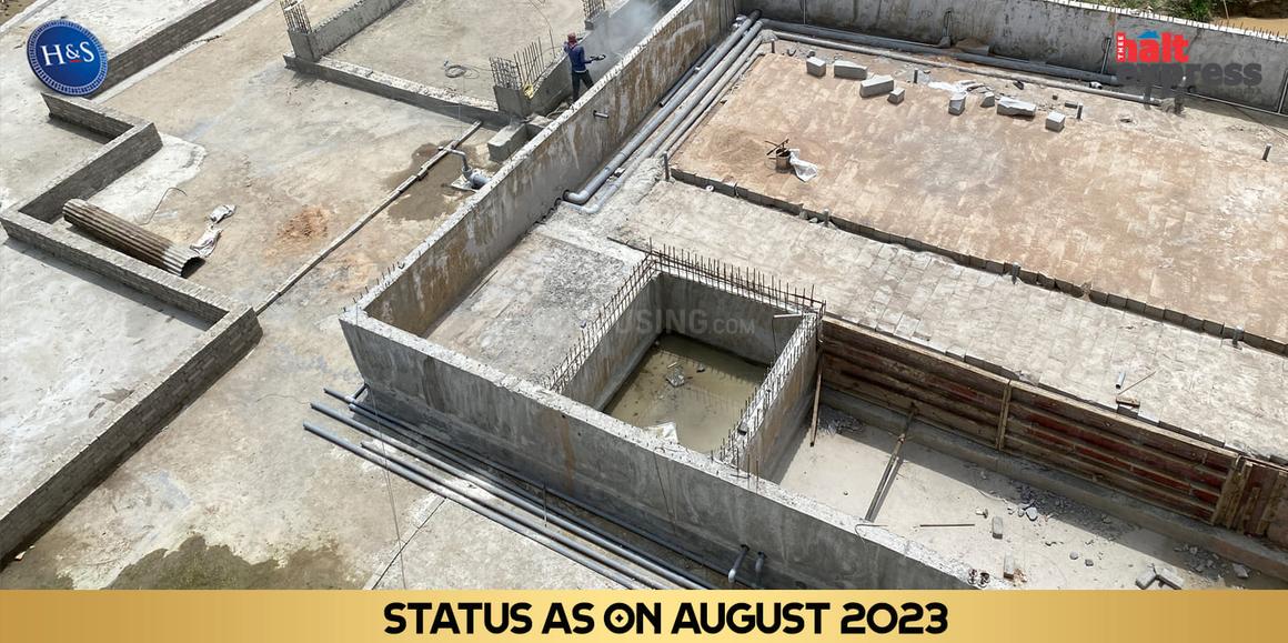 Beetle Orchid - Image 33