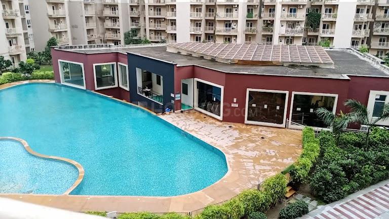 Paramount Emotions - Image 24