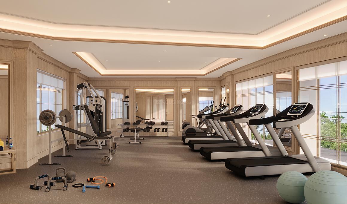 Nimbus The Arista Luxe - Image 11