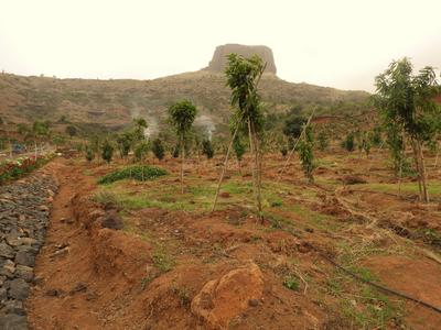 Residential Plot