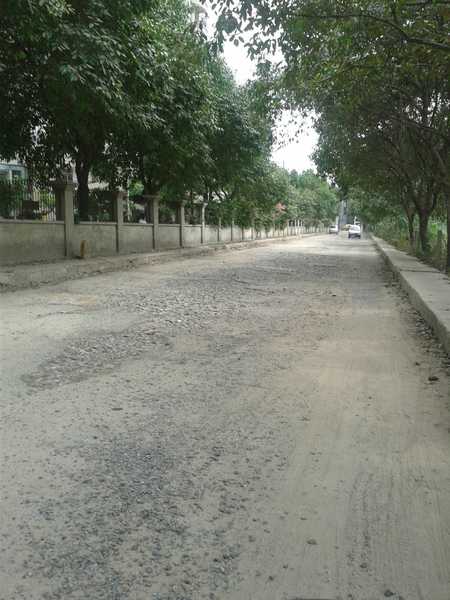 Oasis Emerald Heights - Image 4