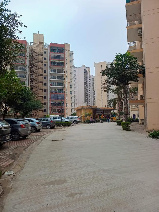 Orris Carnation Residency - Image 15