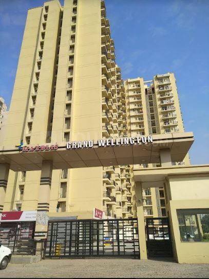 Maxblis Grand Wellington - Image 4