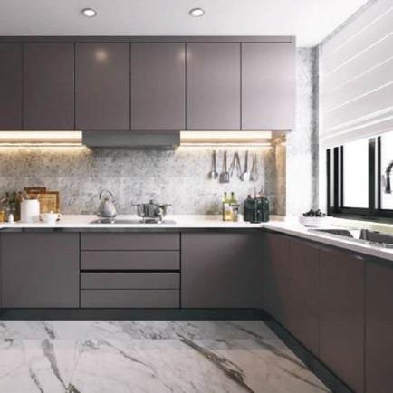 Renox Thrive - Image 6