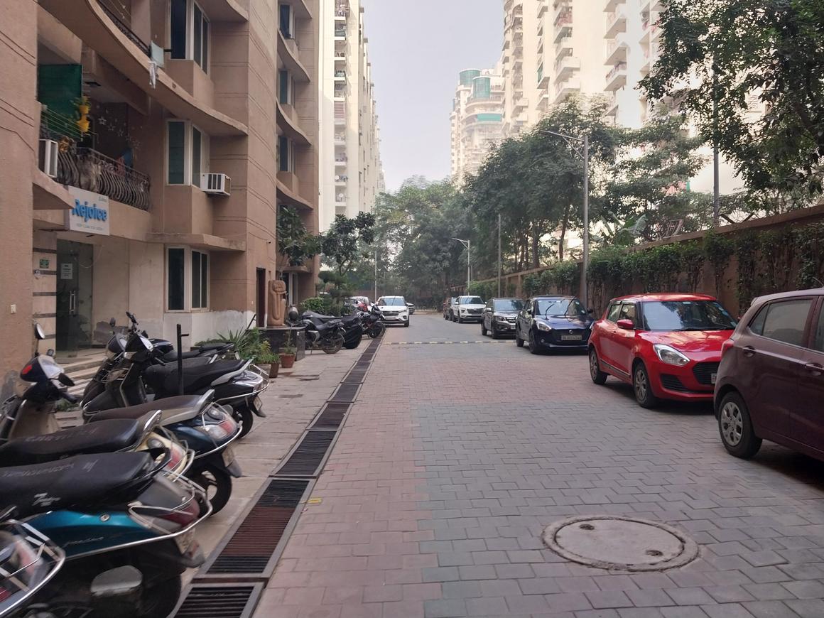 Sikka Karmic Greens - Image 30