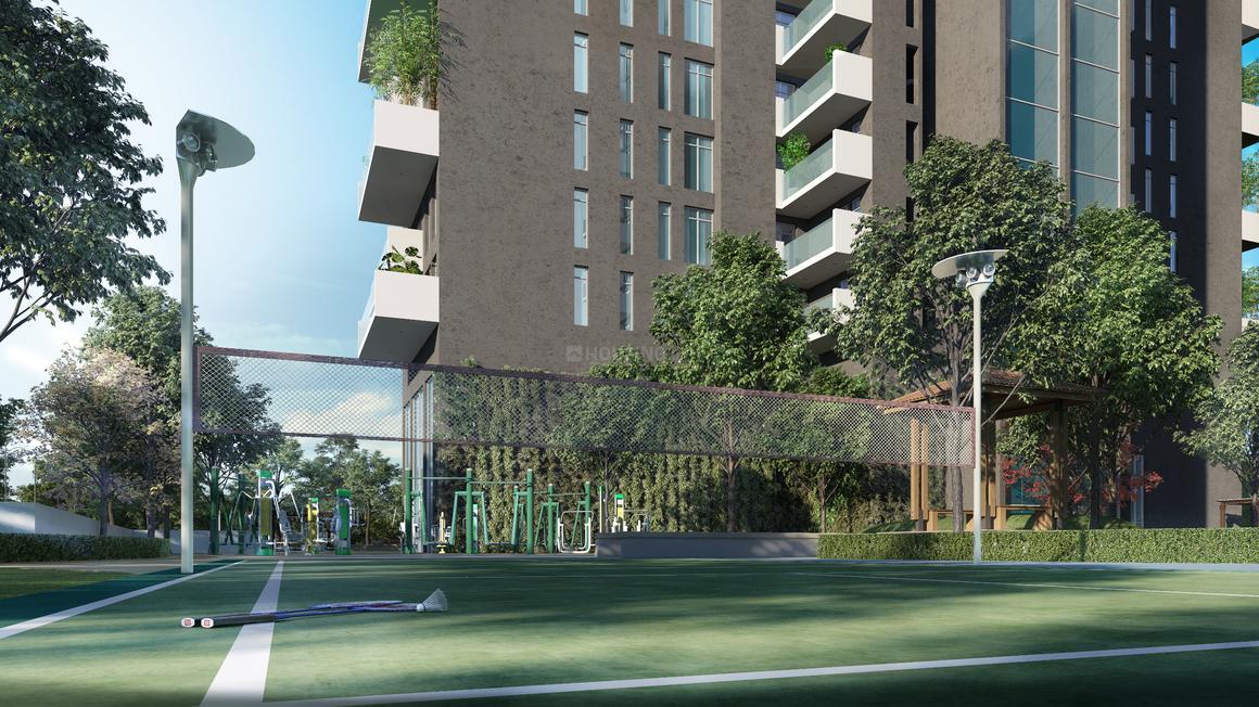 Apex D Rio - Image 19